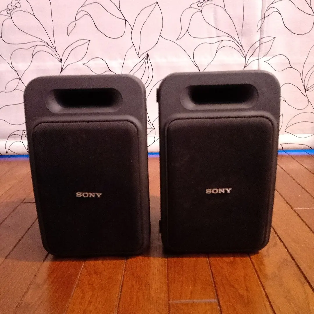 2026年最新】SS-V900AV SONYの人気アイテム - メルカリ