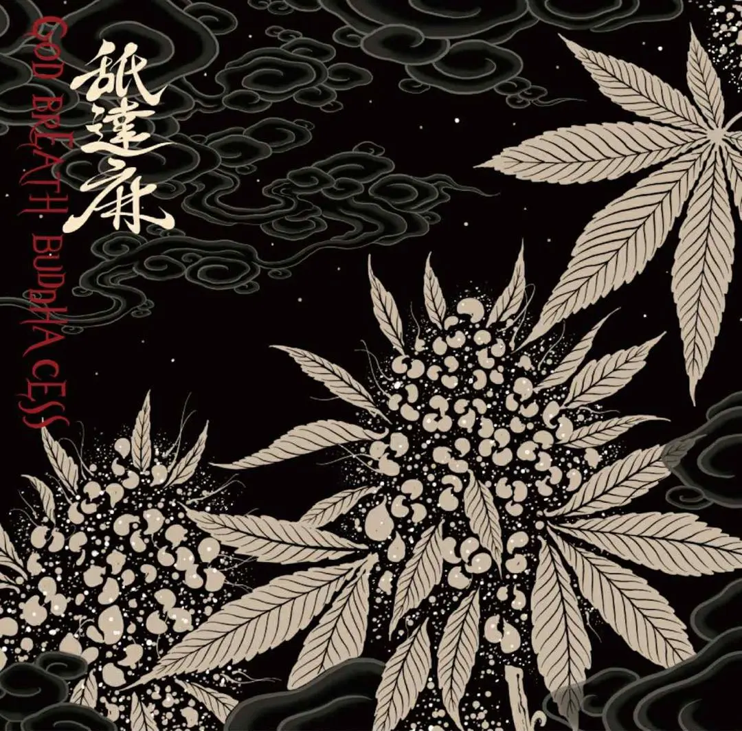 m33174127778_1.jpg?1766067480