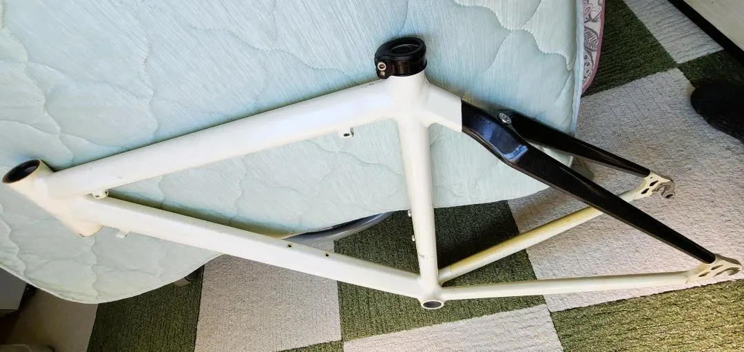 2026年最新】ブリジストン フレーム ピストの人気アイテム - メルカリ