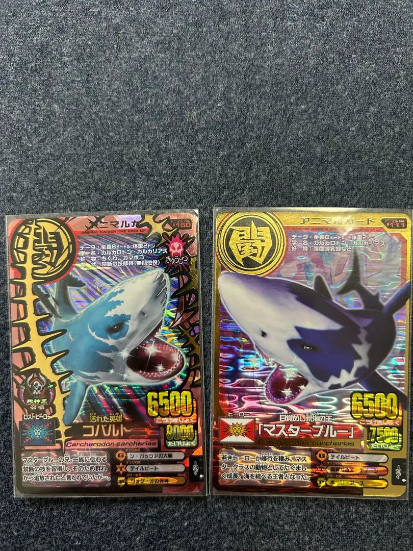 m35476058734_1.jpg?1770367306