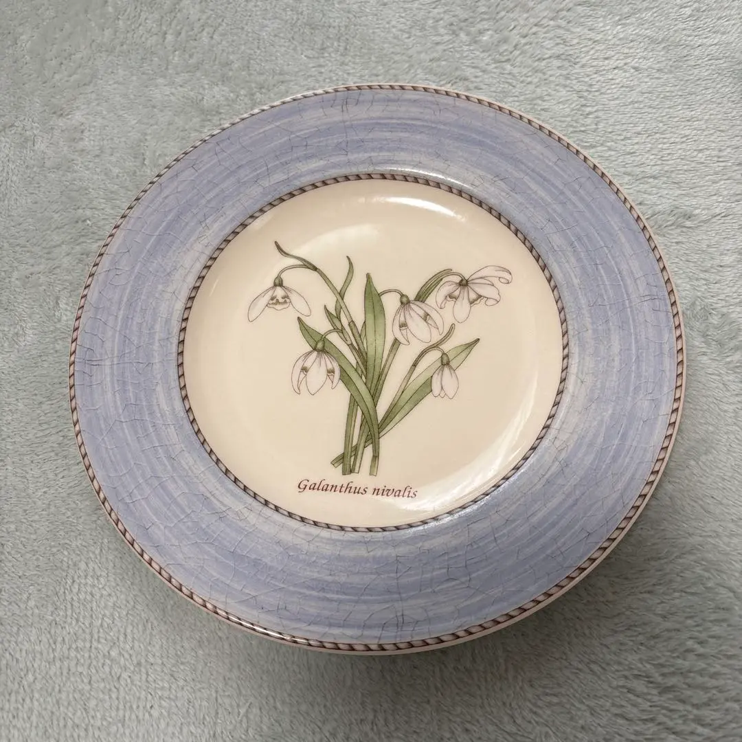 2026年最新】ウェッジウッドサラズガーデンの人気アイテム - メルカリ