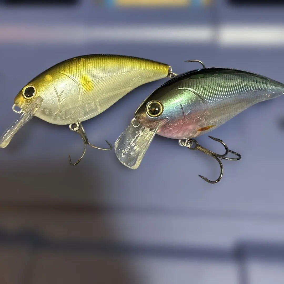 2026年最新】ノリーズショットストーミーマグナムの人気アイテム