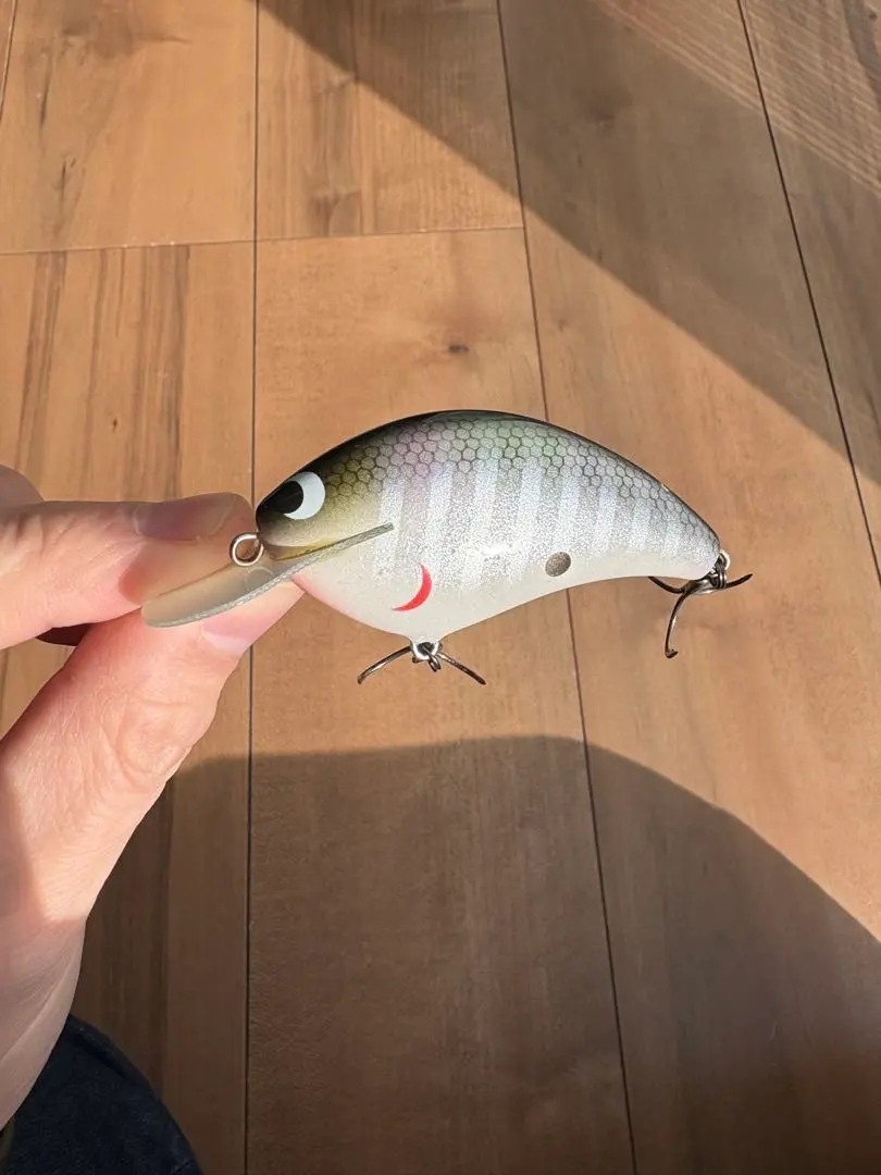 m36253629982_1.jpg?1768975359