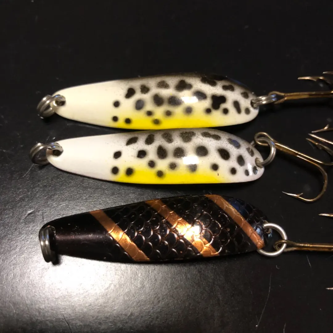 2026年最新】パラバンサラマンダーの人気アイテム - メルカリ