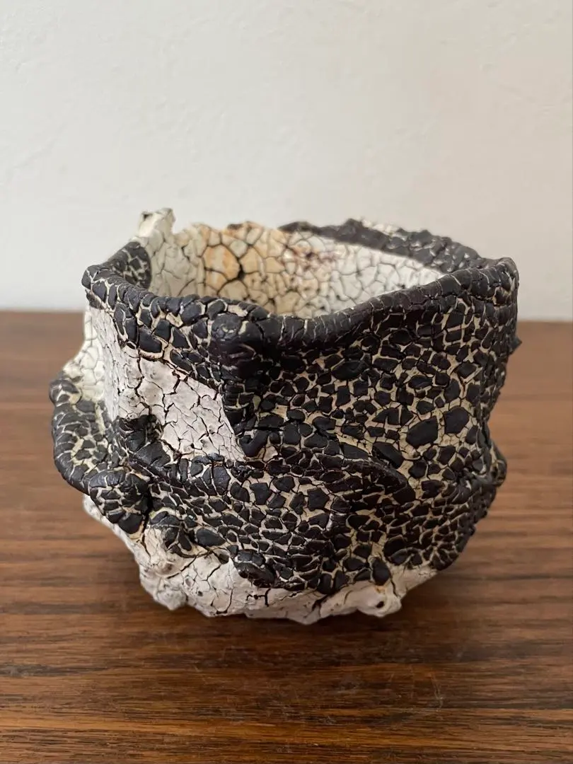 2026年最新】阪本健 鉢の人気アイテム - メルカリ