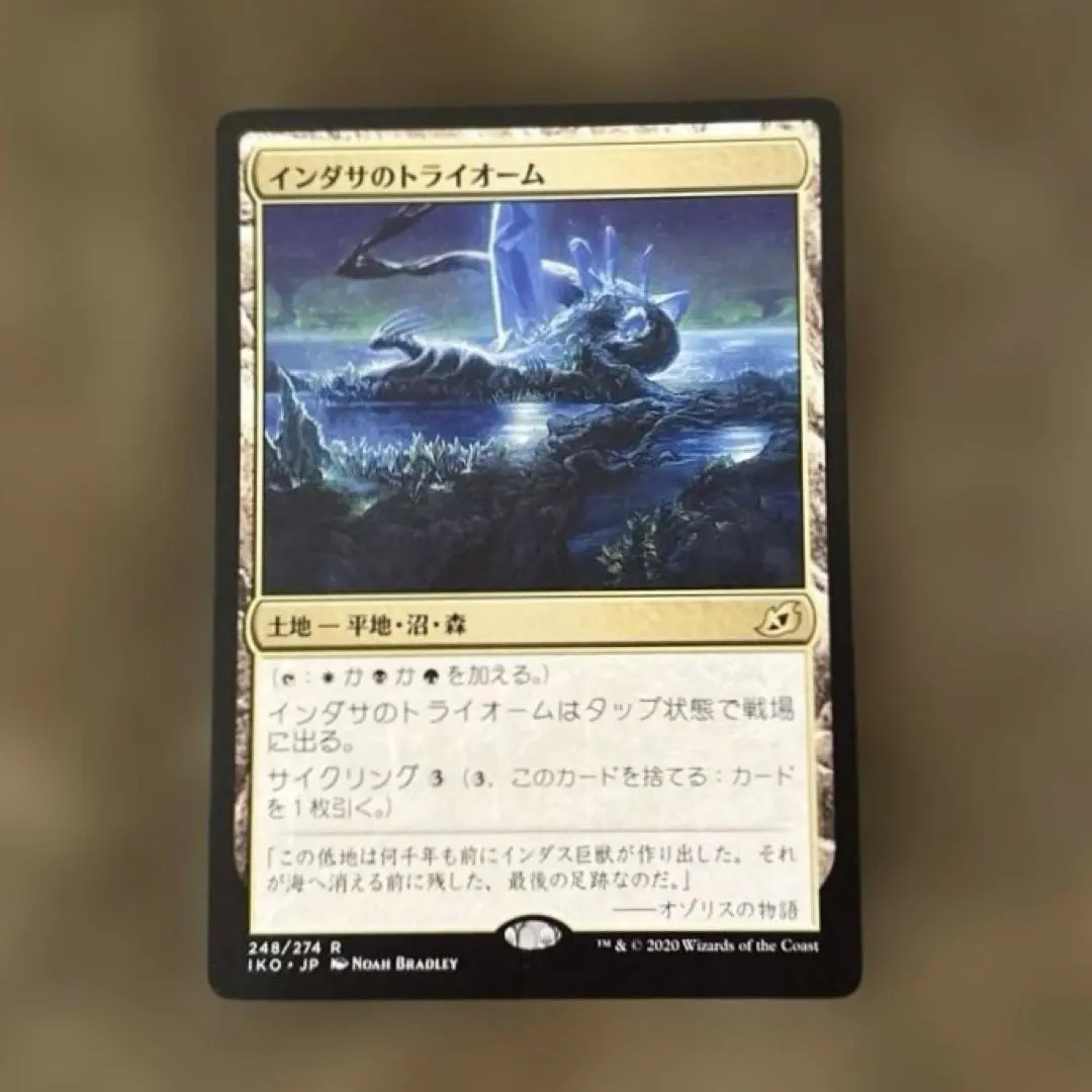 2026年最新】インダサのトライオームの人気アイテム - メルカリ