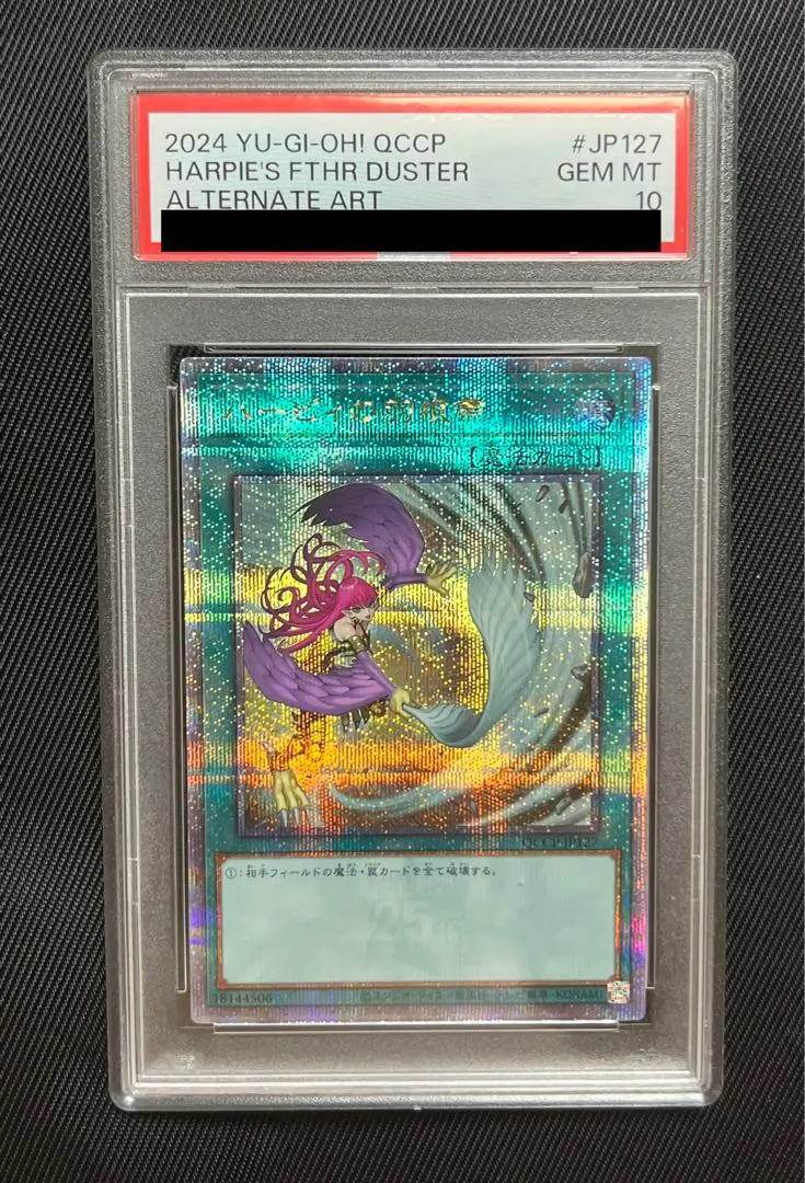 2026年最新】ハーピィの羽根箒 25th 絵違いの人気アイテム - メルカリ