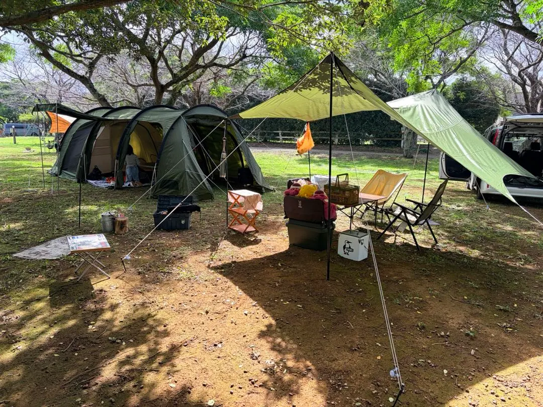 2026年最新】ペグハンマー dodの人気アイテム - メルカリ