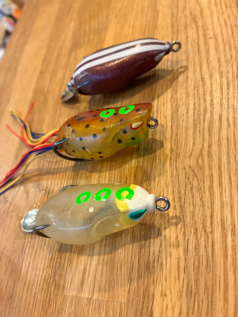 2026年最新】ディープフォレスト フロッグの人気アイテム - メルカリ