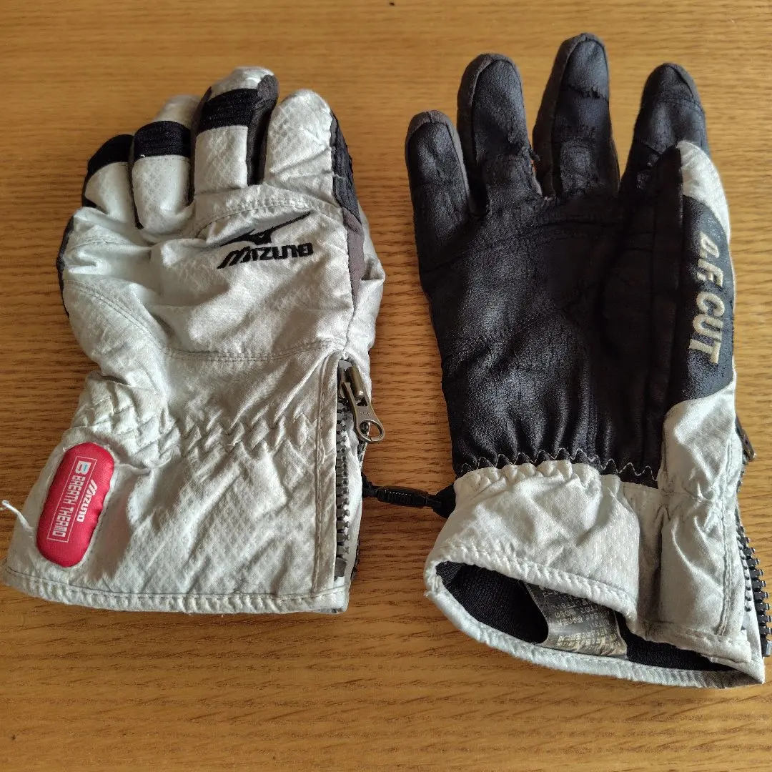 2026年最新】ミズノ スキーグローブの人気アイテム - メルカリ