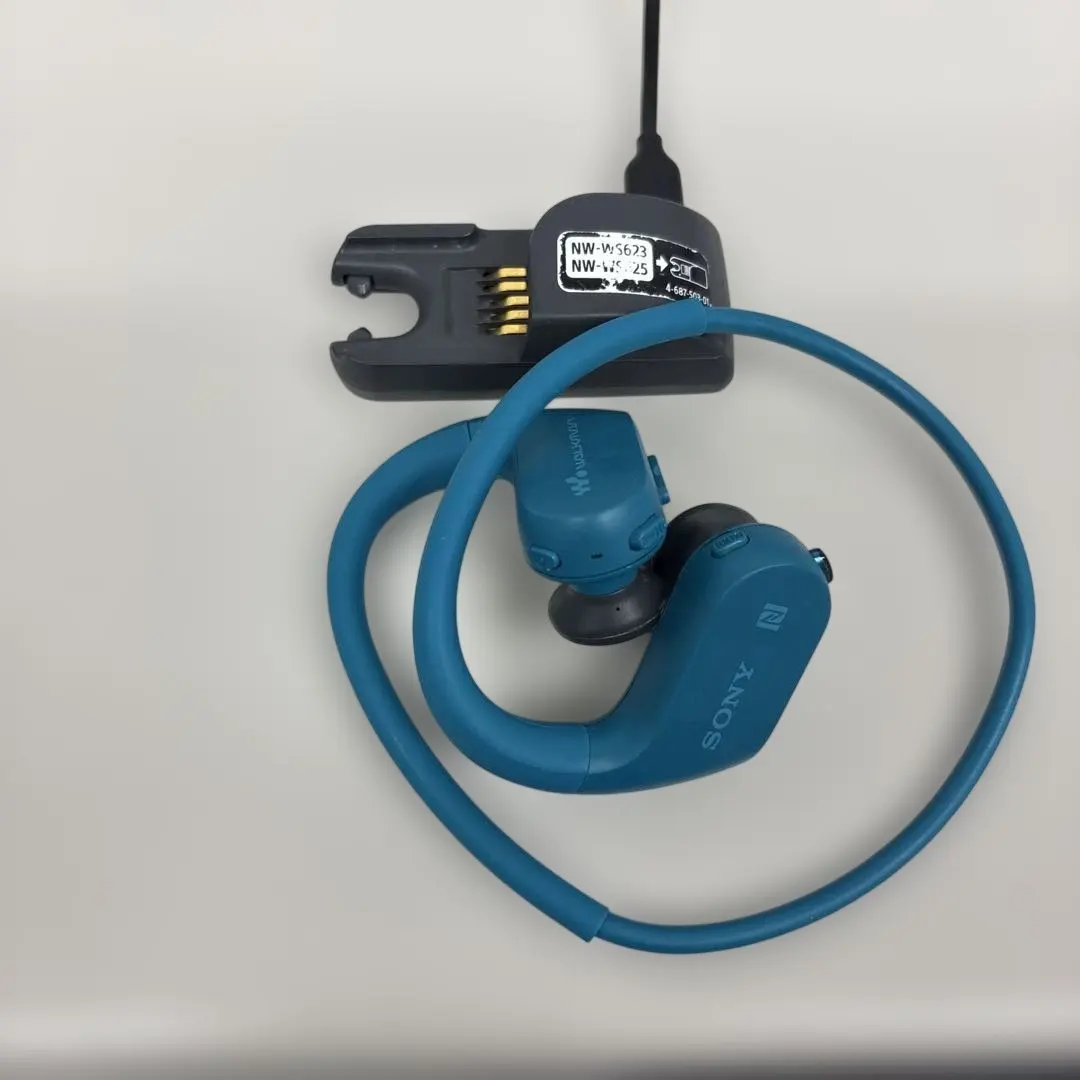 2026年最新】nw-ws615の人気アイテム - メルカリ