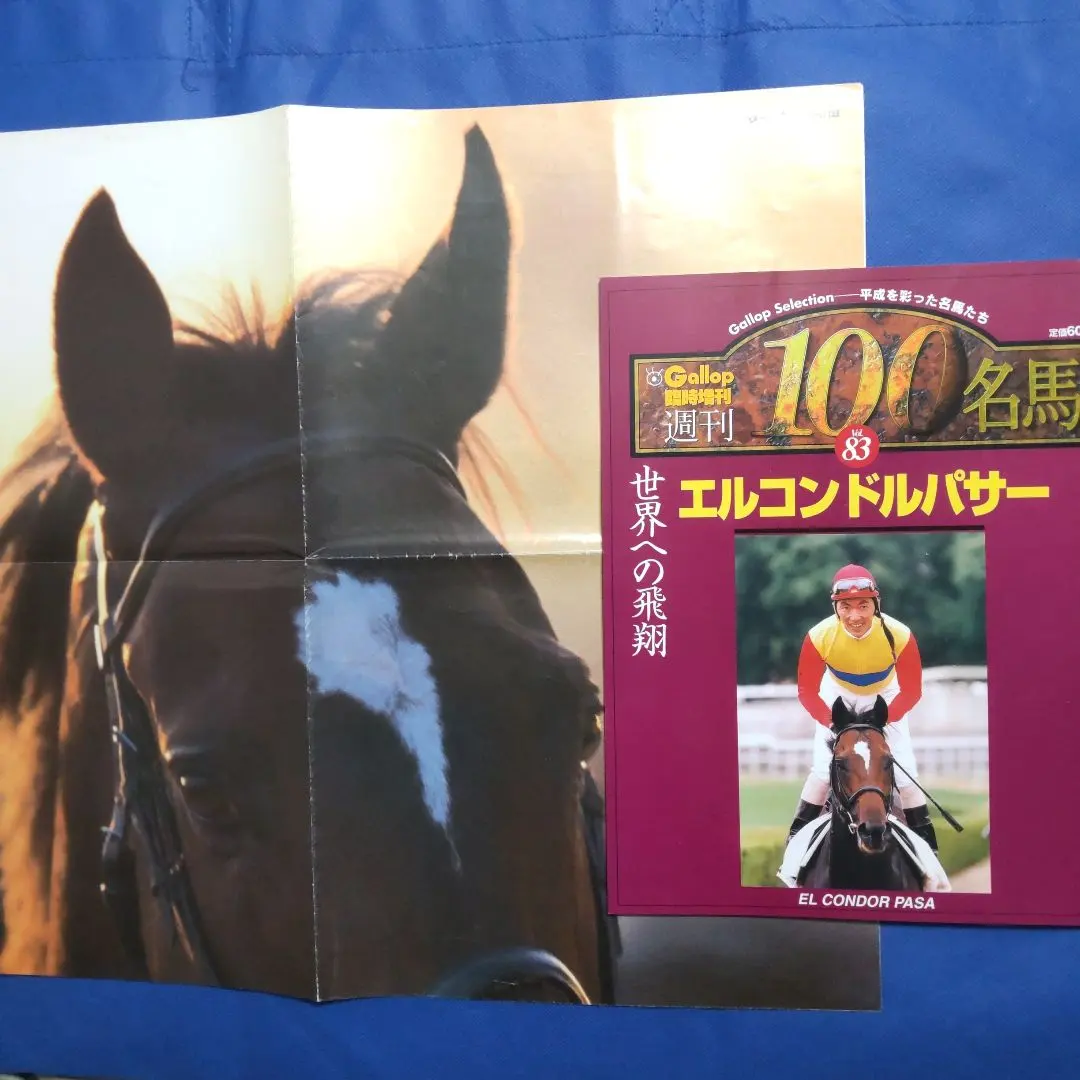 2026年最新】週刊100名馬の人気アイテム - メルカリ