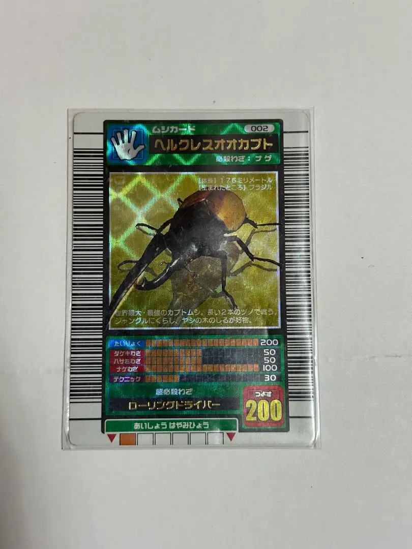 m51803257628_1.jpg?1764251622