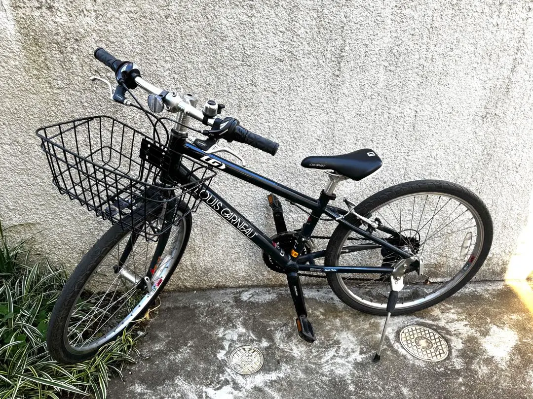 2026年最新】ルイガノ 24インチの人気アイテム - メルカリ