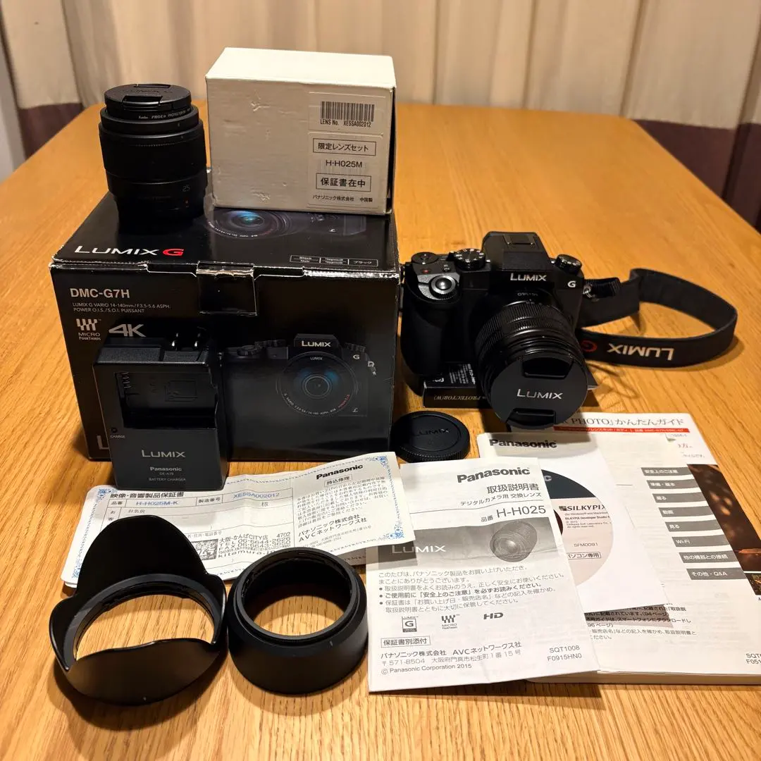 2026年最新】lumix gh5sの人気アイテム - メルカリ