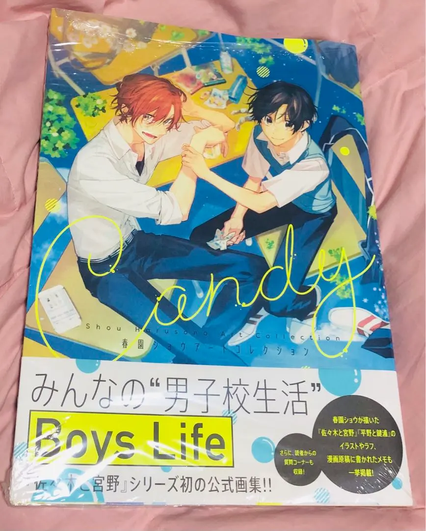 2026年最新】春園ショウ アートコレクションの人気アイテム - メルカリ