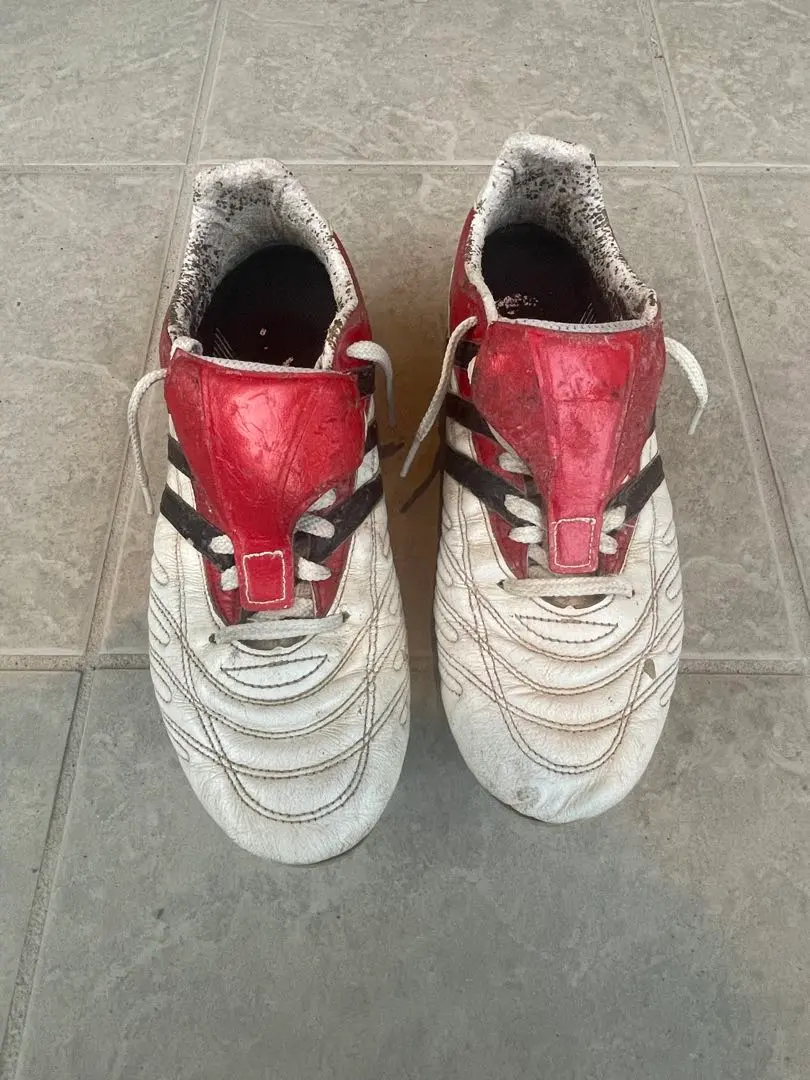 m60092821371_1.jpg?1772357184