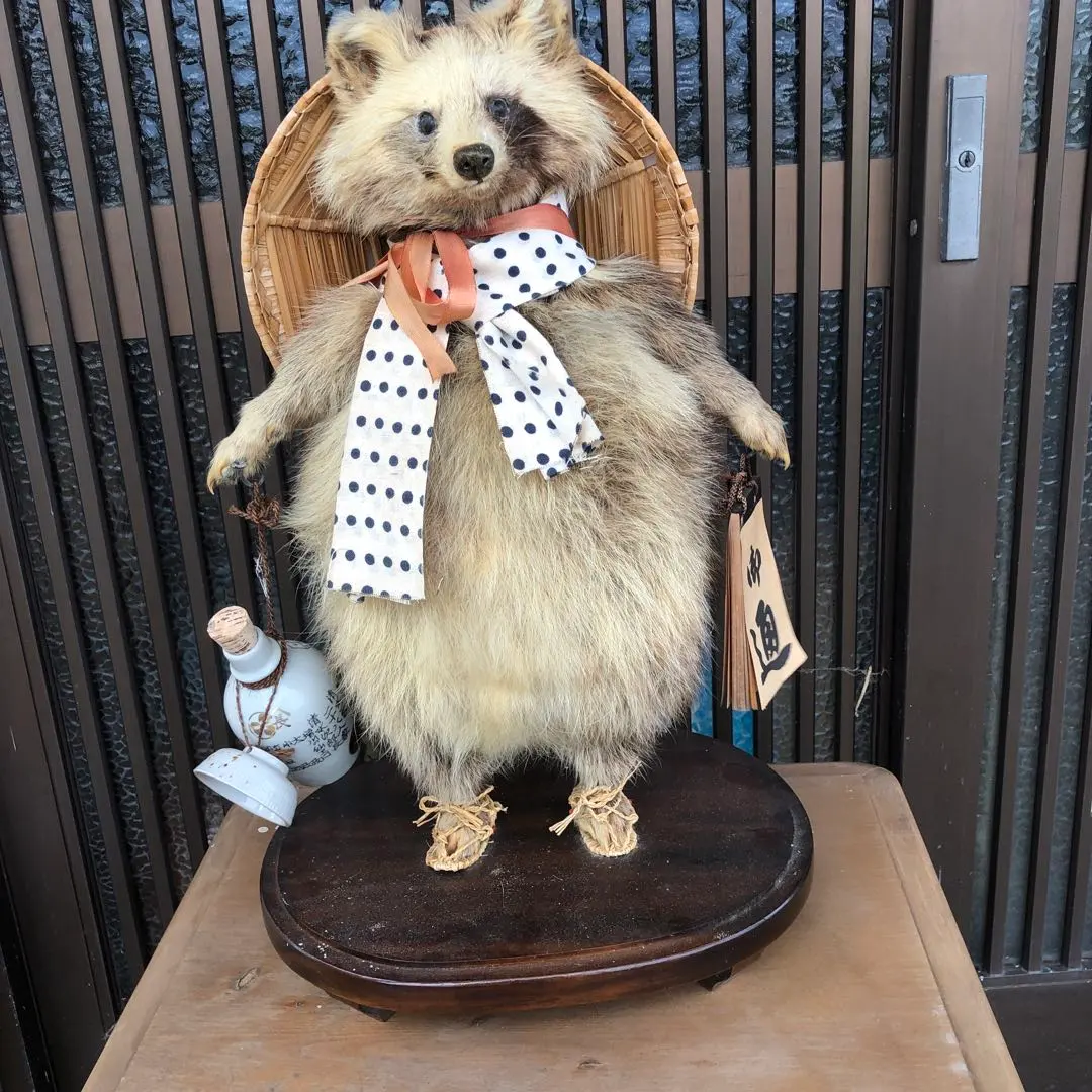 2026年最新】たぬき 剥製の人気アイテム - メルカリ