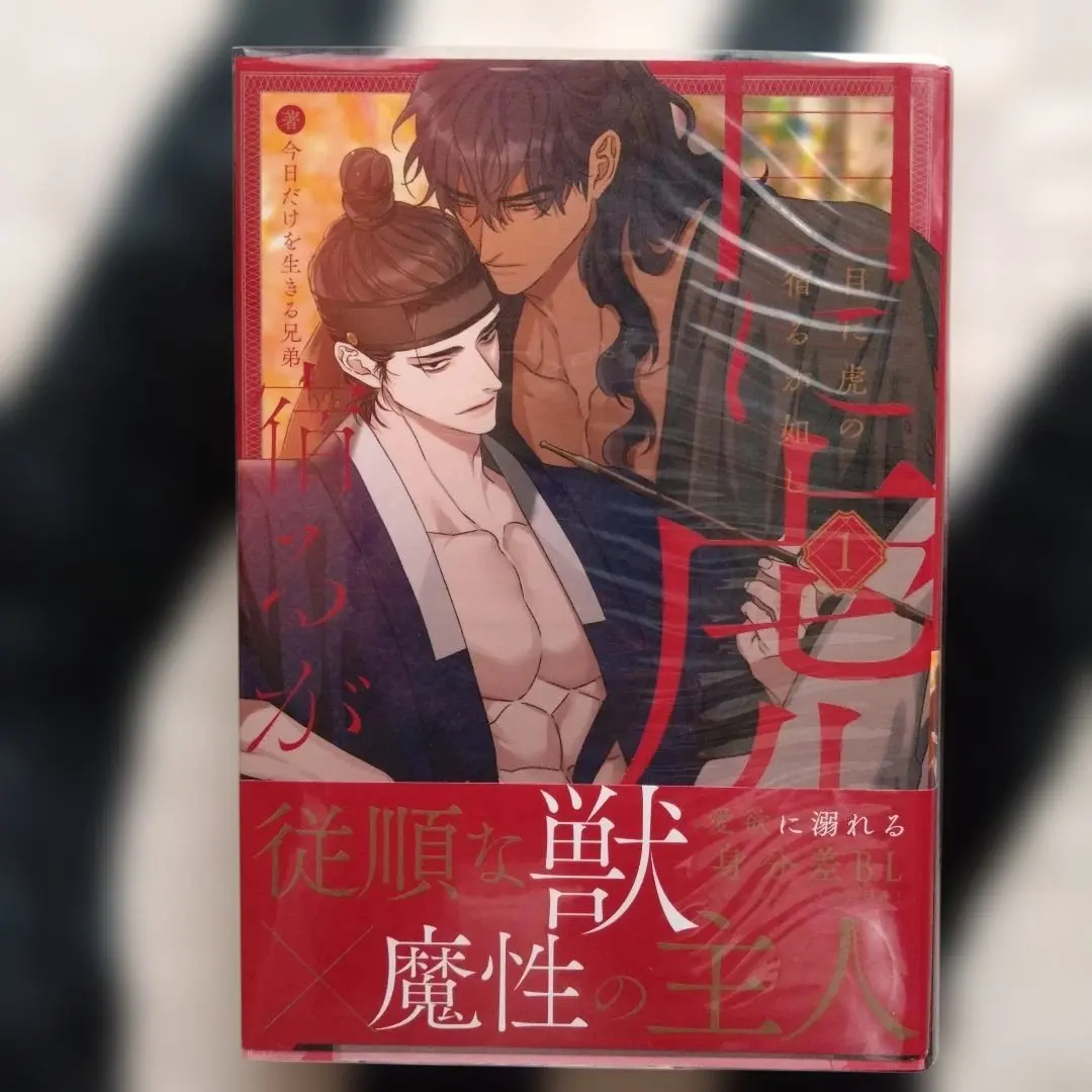 2026年最新】今日だけを生きる兄弟の人気アイテム - メルカリ