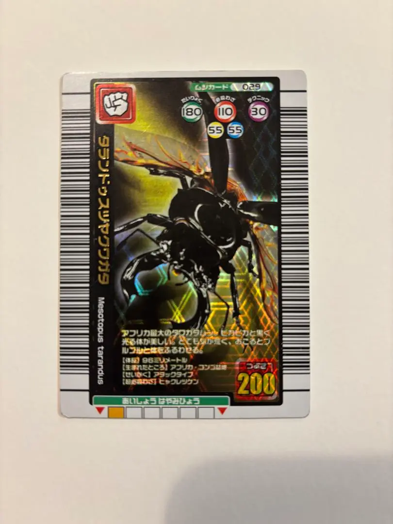 2026年最新】タランドゥスツヤクワガタ 5周年の人気アイテム - メルカリ