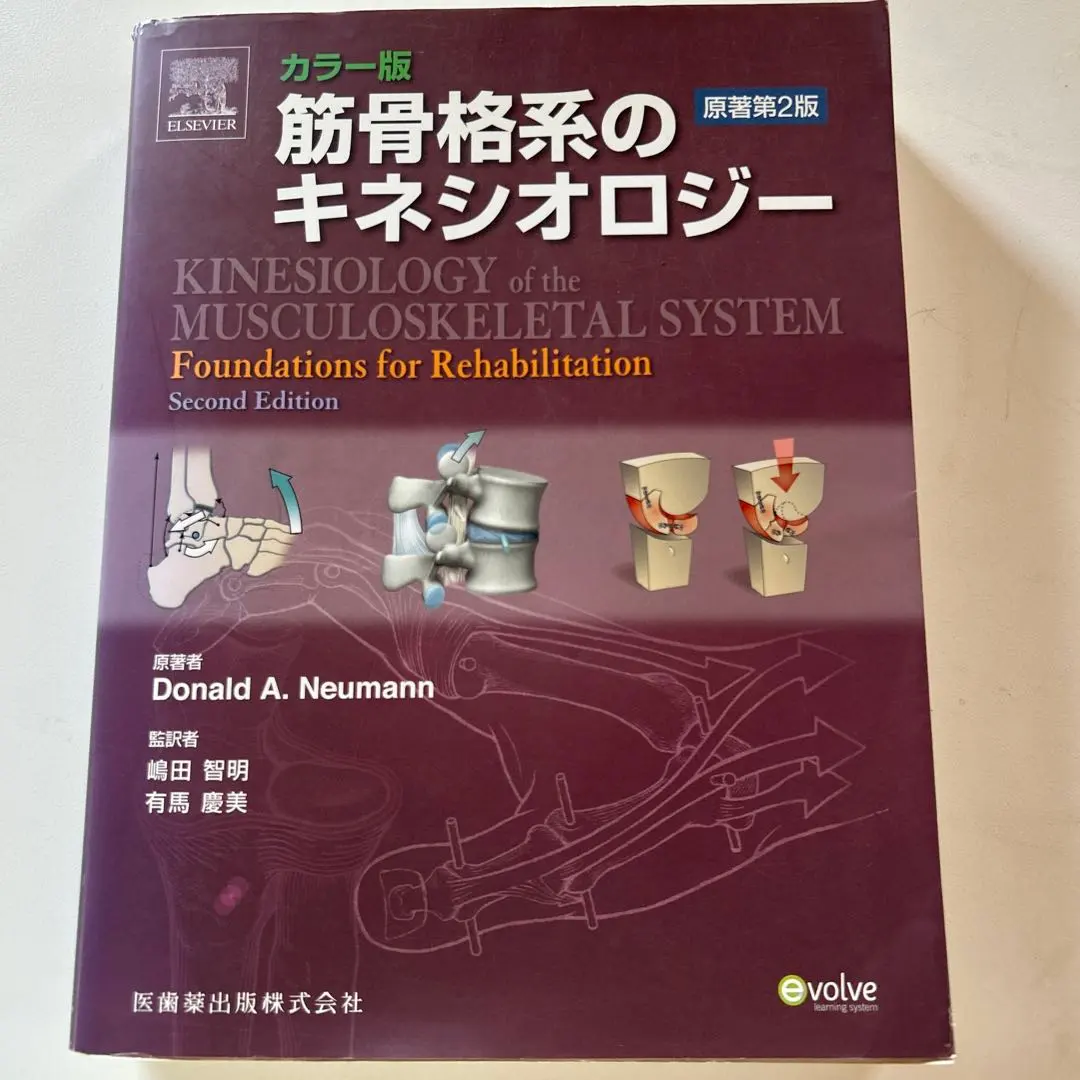 2026年最新】筋骨格系のキネシオロジー 原著第3版の人気アイテム