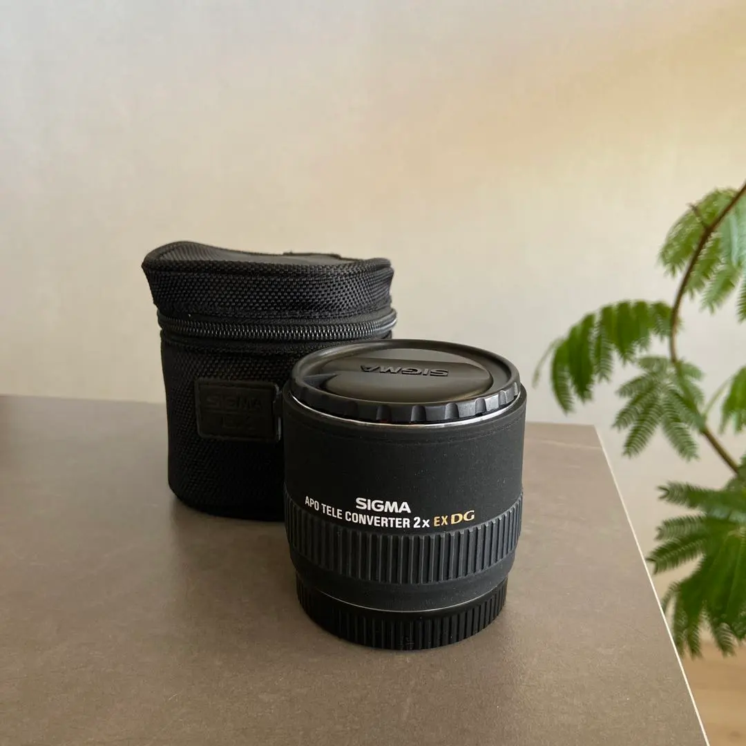 2026年最新】SIGMA APO TELE CONVERTER 2x EXの人気アイテム - メルカリ