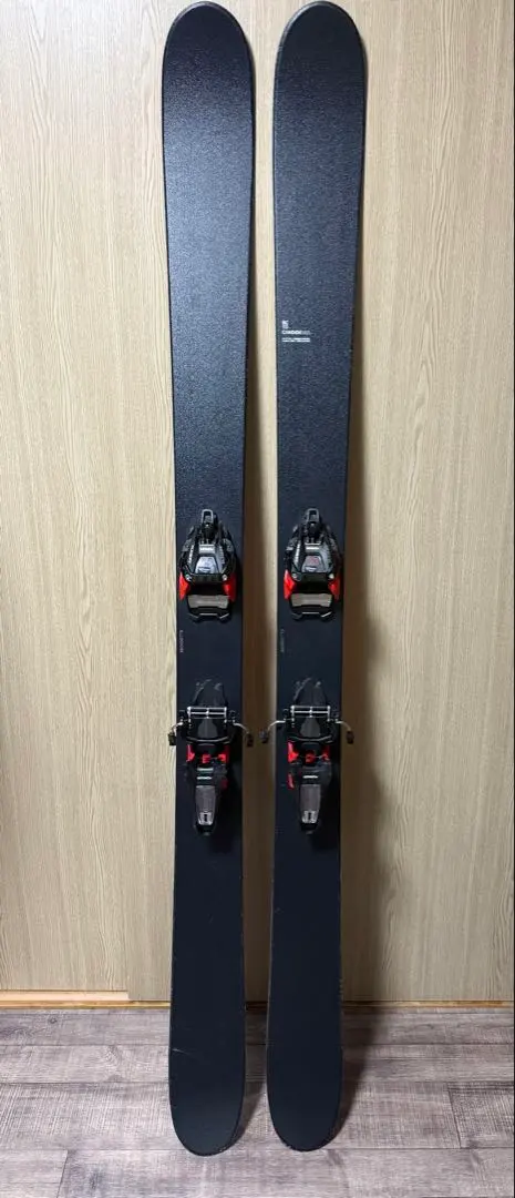 2026年最新】candide スキーの人気アイテム - メルカリ