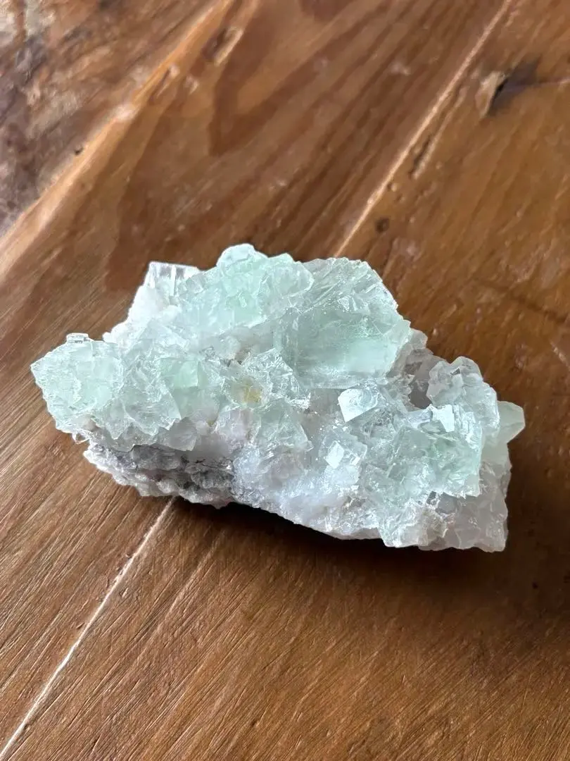 2026年最新】シャンファーリンの人気アイテム - メルカリ