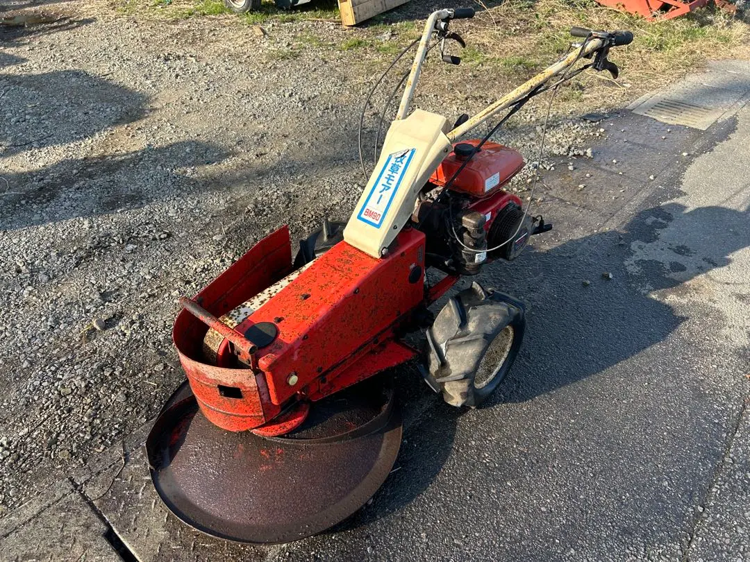 2026年最新】牧草モアの人気アイテム - メルカリ