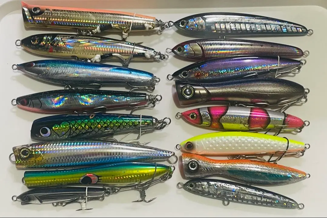 2026年最新】シーファルコンの人気アイテム - メルカリ