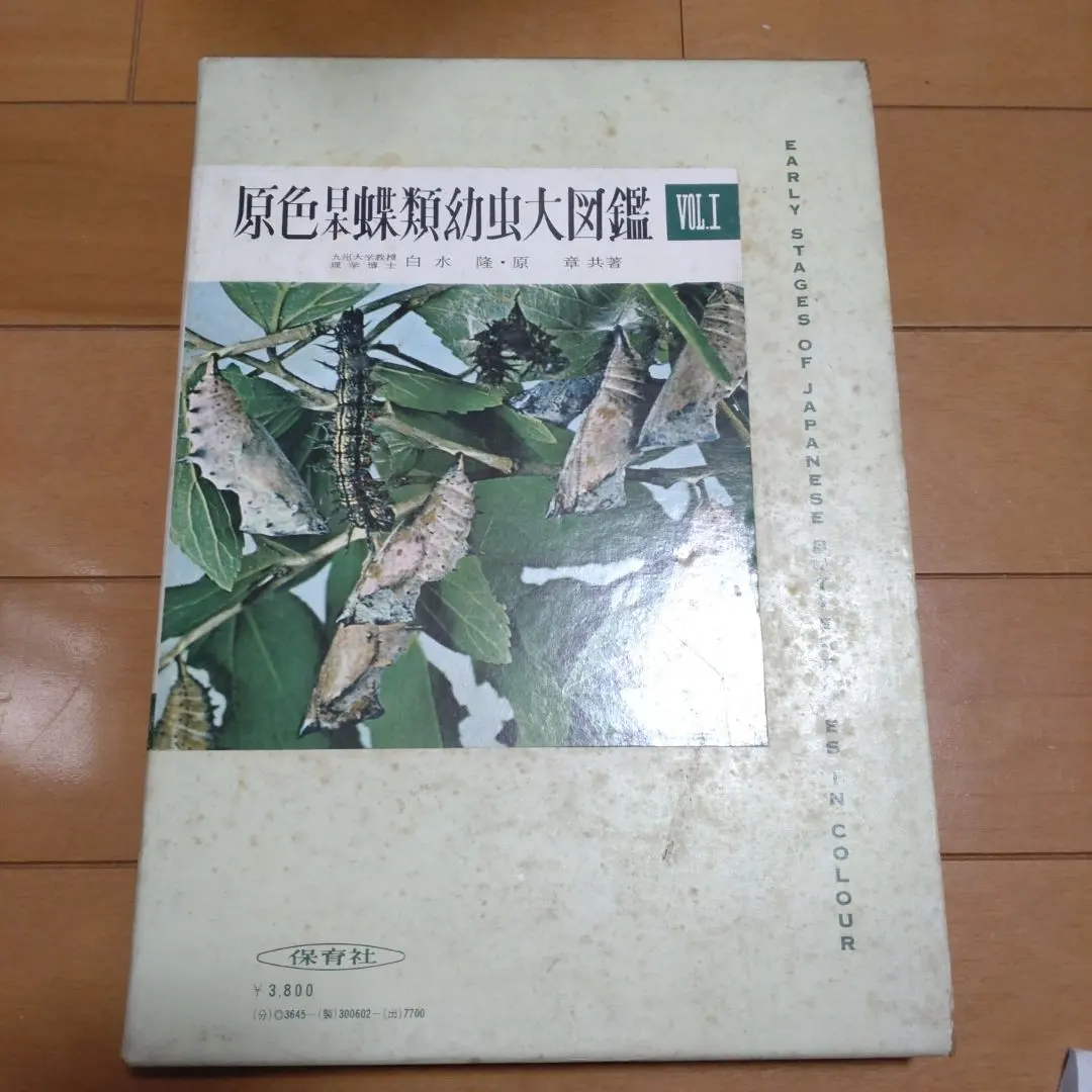 2026年最新】原色日本蝶類図鑑の人気アイテム - メルカリ