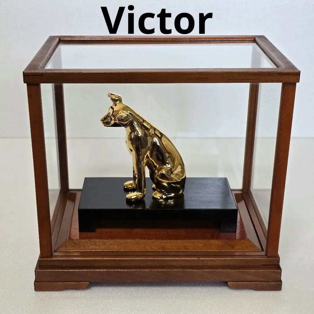 2026年最新】ビクター犬 金色の人気アイテム - メルカリ
