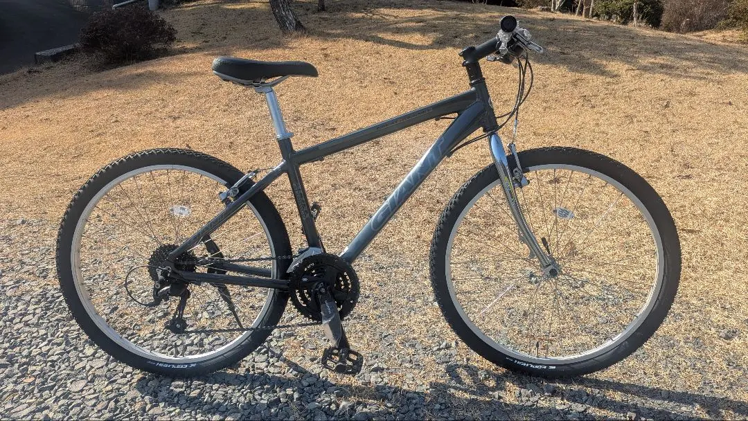 2026年最新】Giant great Journeyの人気アイテム - メルカリ