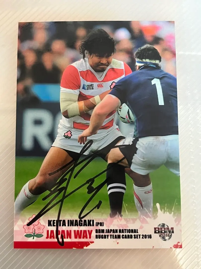 2026年最新】ワイルドナイツ キャップの人気アイテム - メルカリ