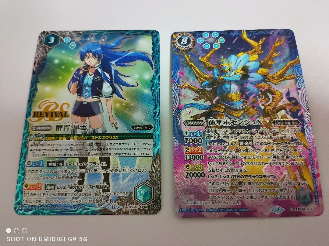 2026年最新】蓮華王センジュの人気アイテム - メルカリ