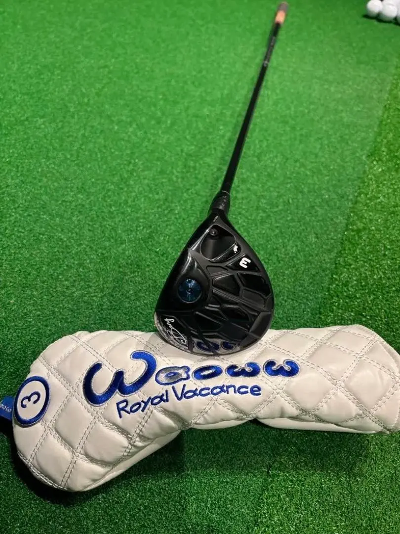 2026年最新】waoww ドライバー archの人気アイテム - メルカリ