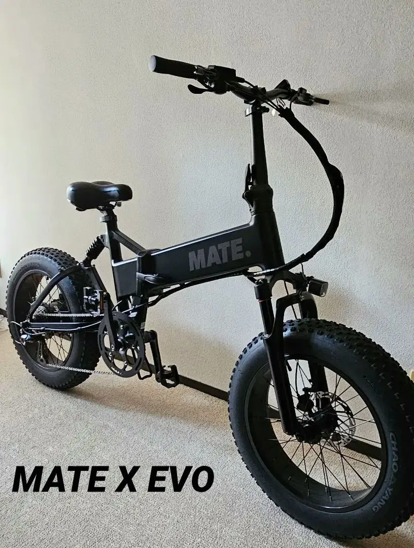 2026年最新】MATE bike evoの人気アイテム - メルカリ