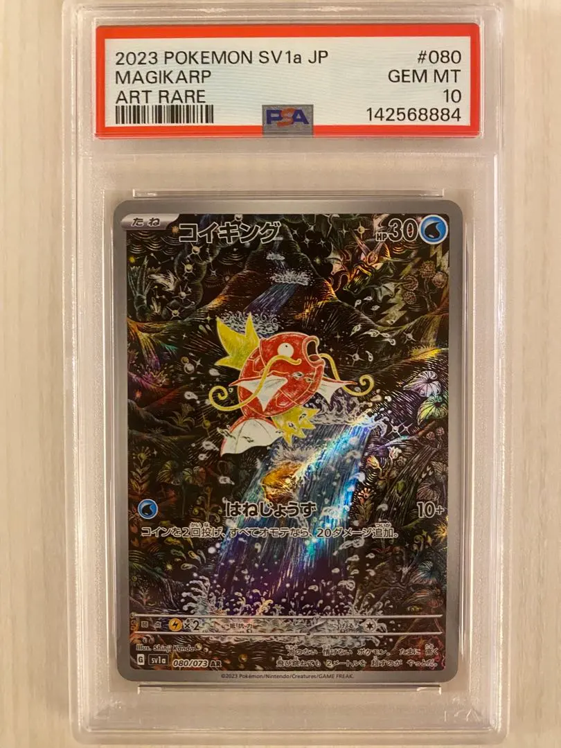 m82239204894_1.jpg?1772807605