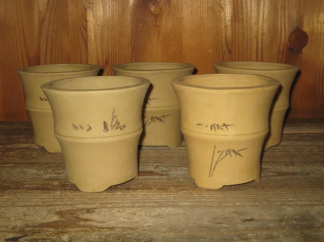 2026年最新】盆栽鉢 懸崖の人気アイテム - メルカリ