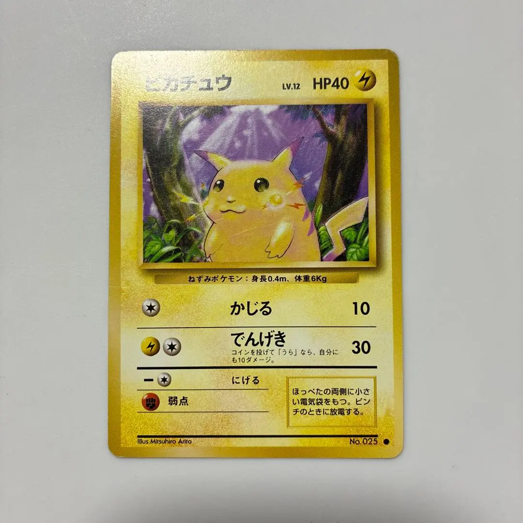 m83022857844_1.jpg?1772724783