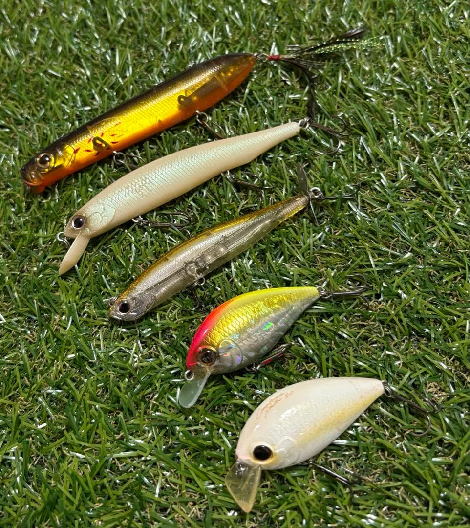 2026年最新】エバーグリーン サイドステップの人気アイテム - メルカリ