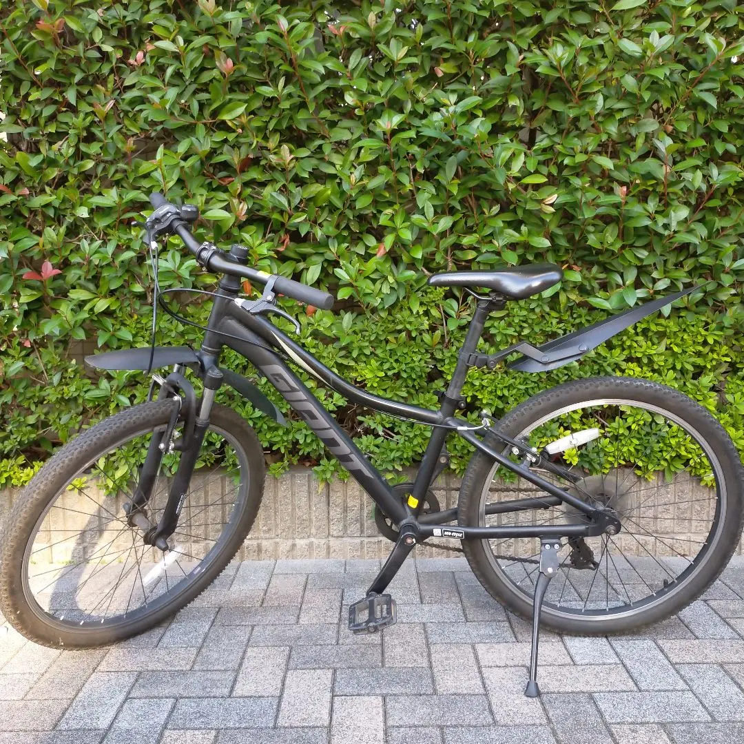 2026年最新】GIANT XTC jrの人気アイテム - メルカリ