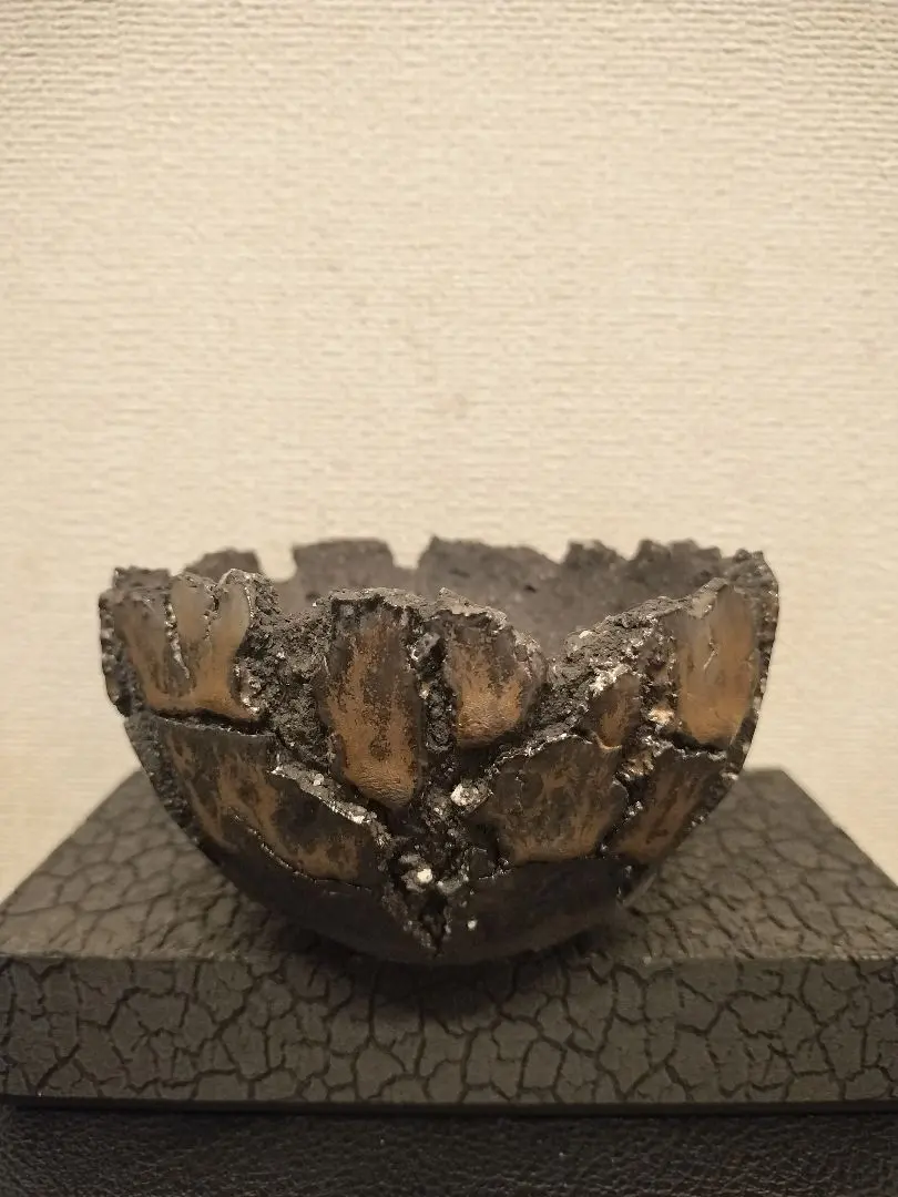 2026年最新】tacsonの人気アイテム - メルカリ