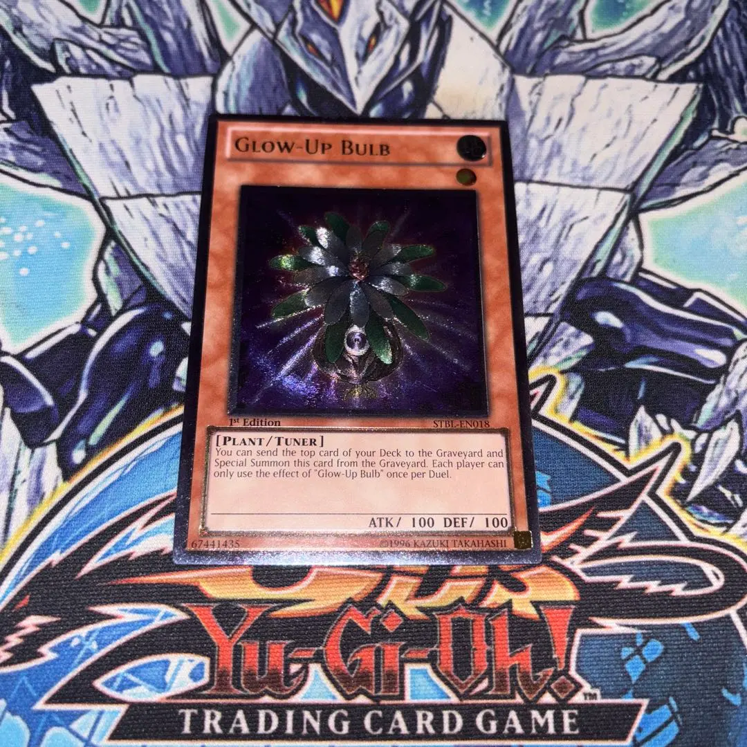 2026年最新】グローアップ・バルブ 英語の人気アイテム - メルカリ