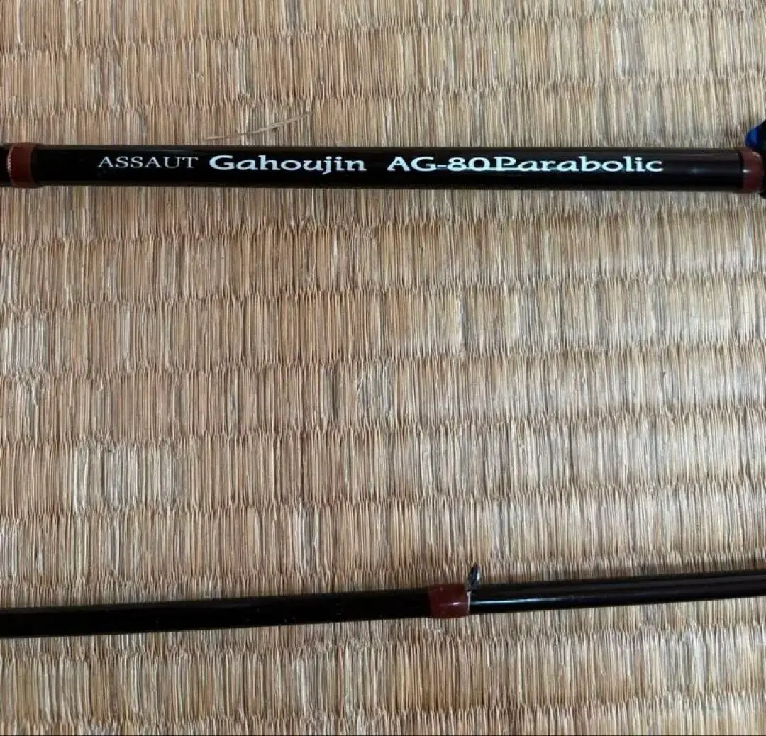 2026年最新】zenaq エギングロッドの人気アイテム - メルカリ