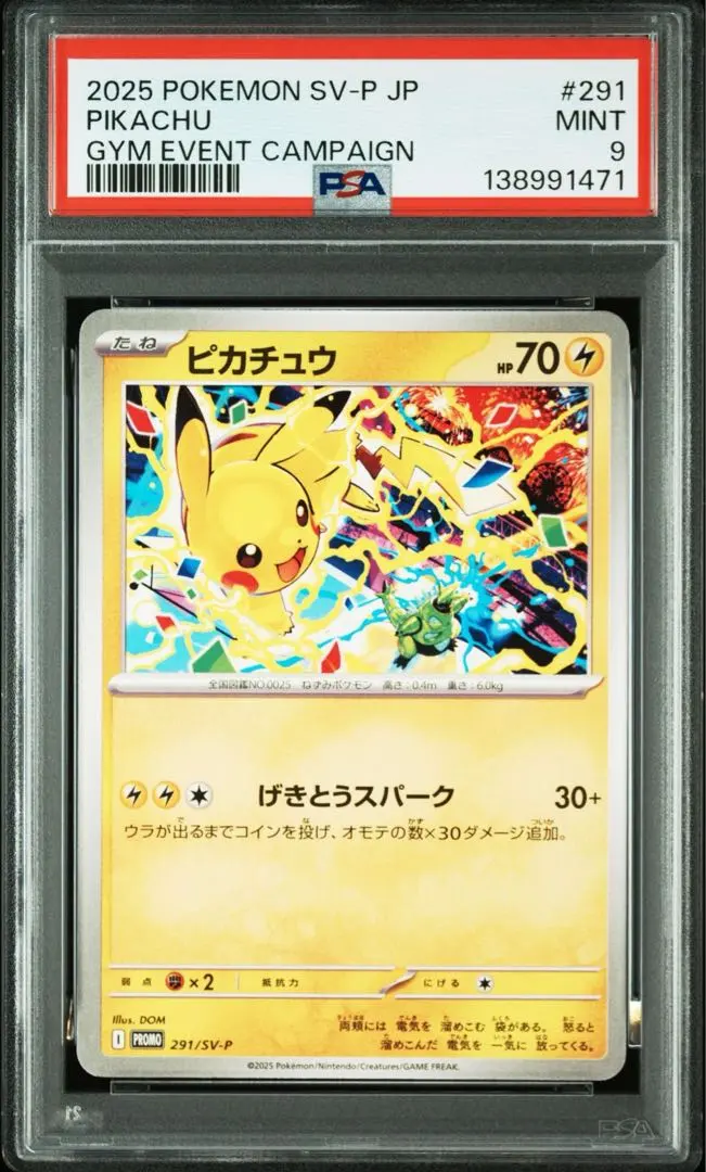 m86893854809_1.jpg?1772865283