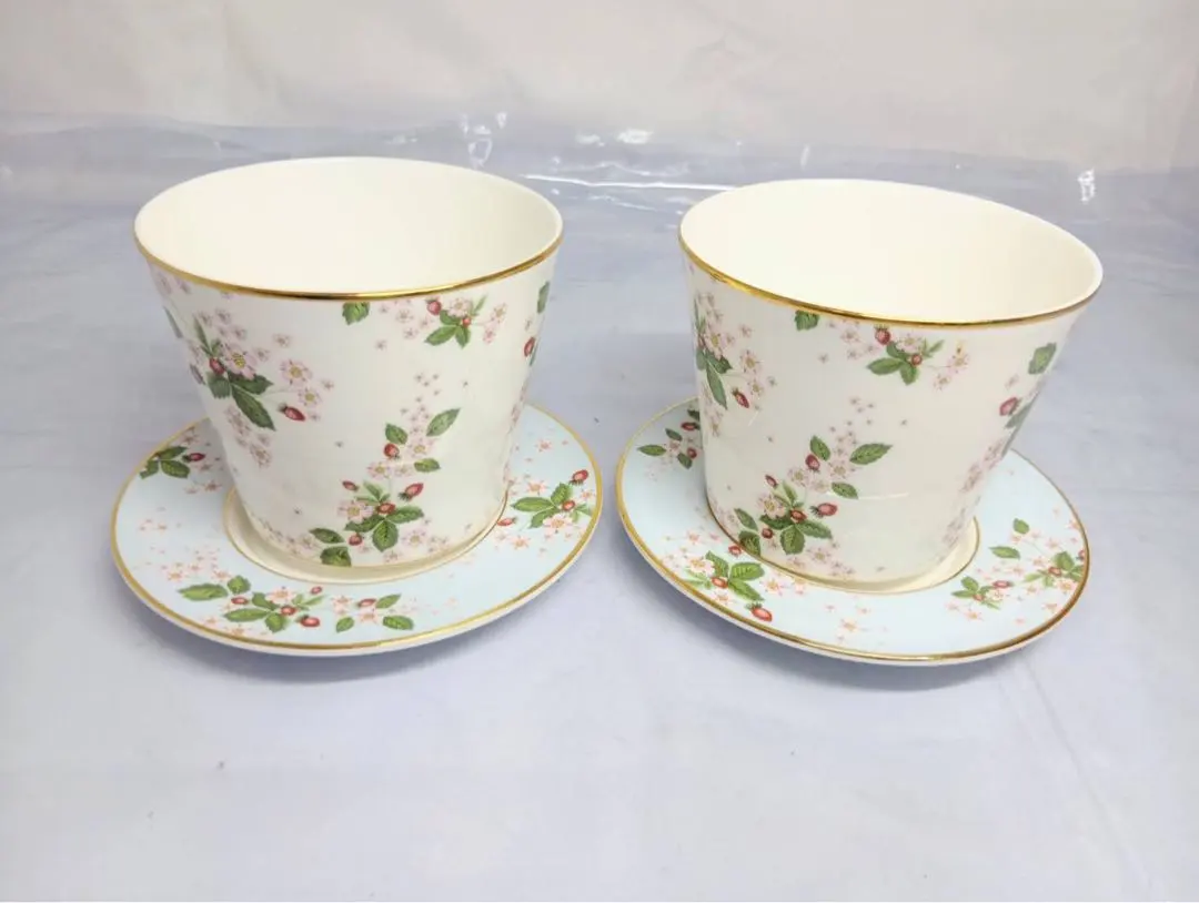 2026年最新】WEDGWOOD 鉢・プランターの人気アイテム - メルカリ