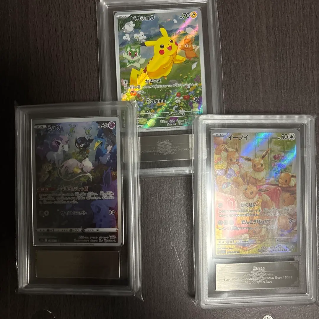 m87619032619_1.jpg?1771953115