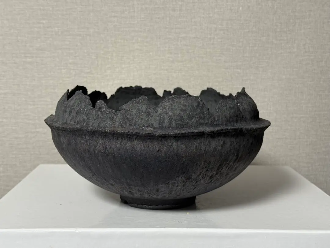 2026年最新】細川政己 鉢の人気アイテム - メルカリ