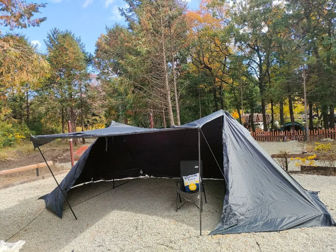 2026年最新】ツインピルツフォークの人気アイテム - メルカリ